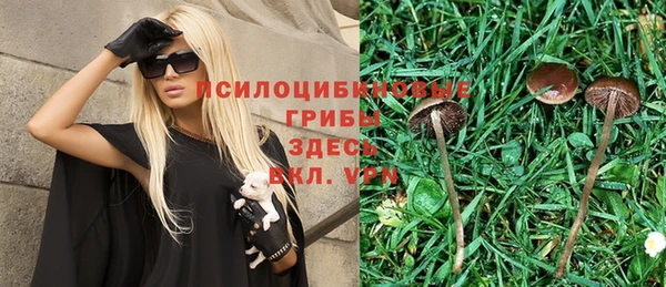 спиды Балабаново